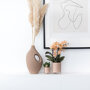Oranje orchidee en succulent in zandkleurige potten